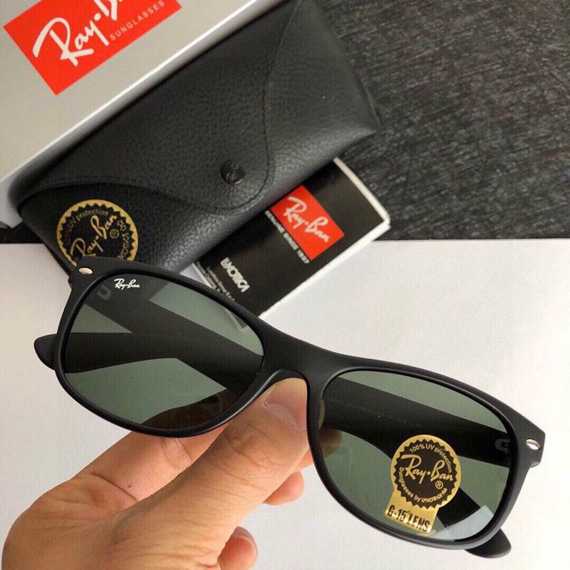 Rayban Glasses (396)